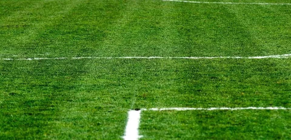 Close-up of a freshly lined soccer field