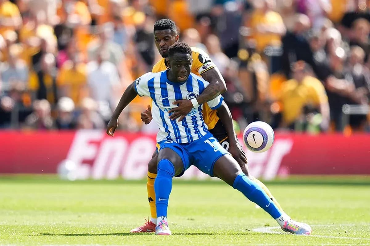 Brighton player in action against Wolves
