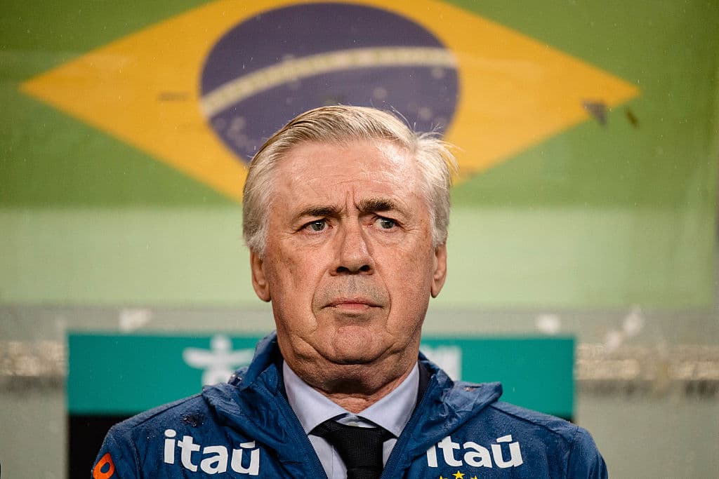 Coach with Brazil flag in background during match