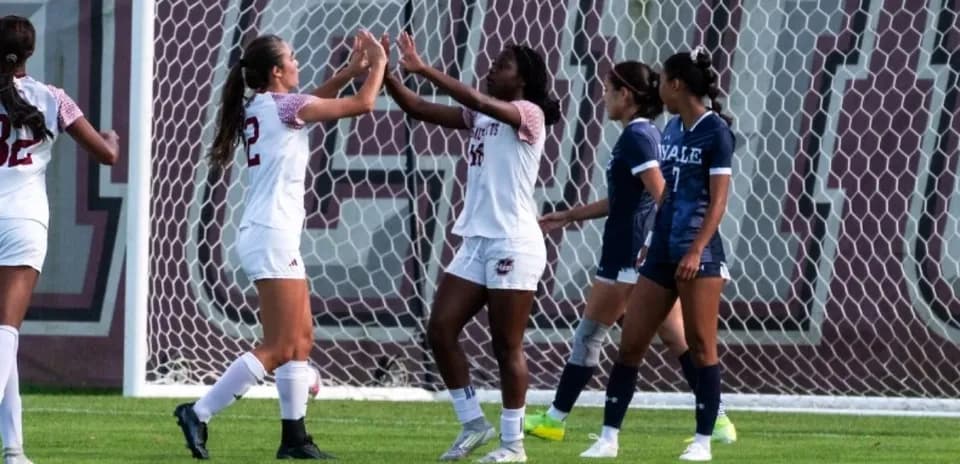 Players celebrating a goal on the soccer field