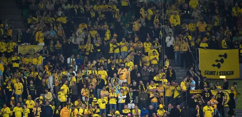 Bodo/Glimt fans cheering in yellow attire