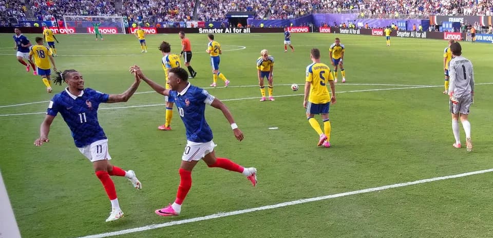 Players celebrating during France vs Sweden match