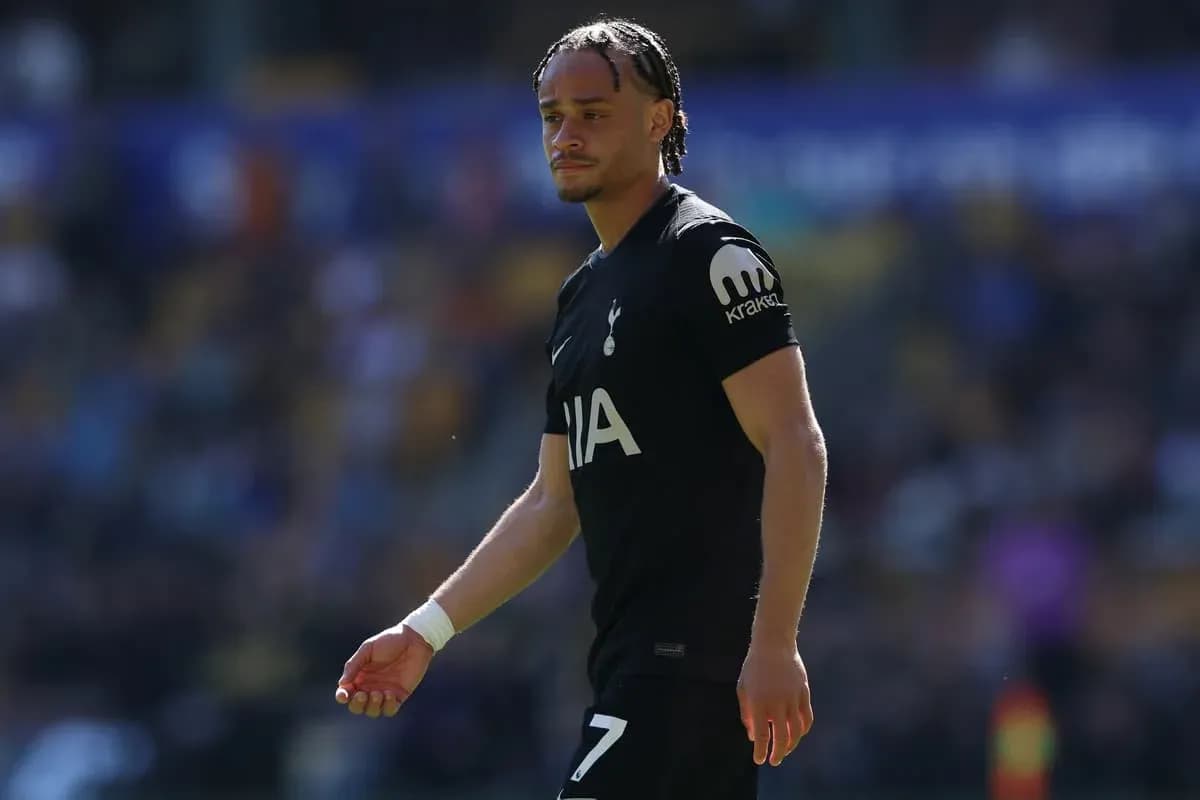 Player walking on the pitch in Tottenham kit