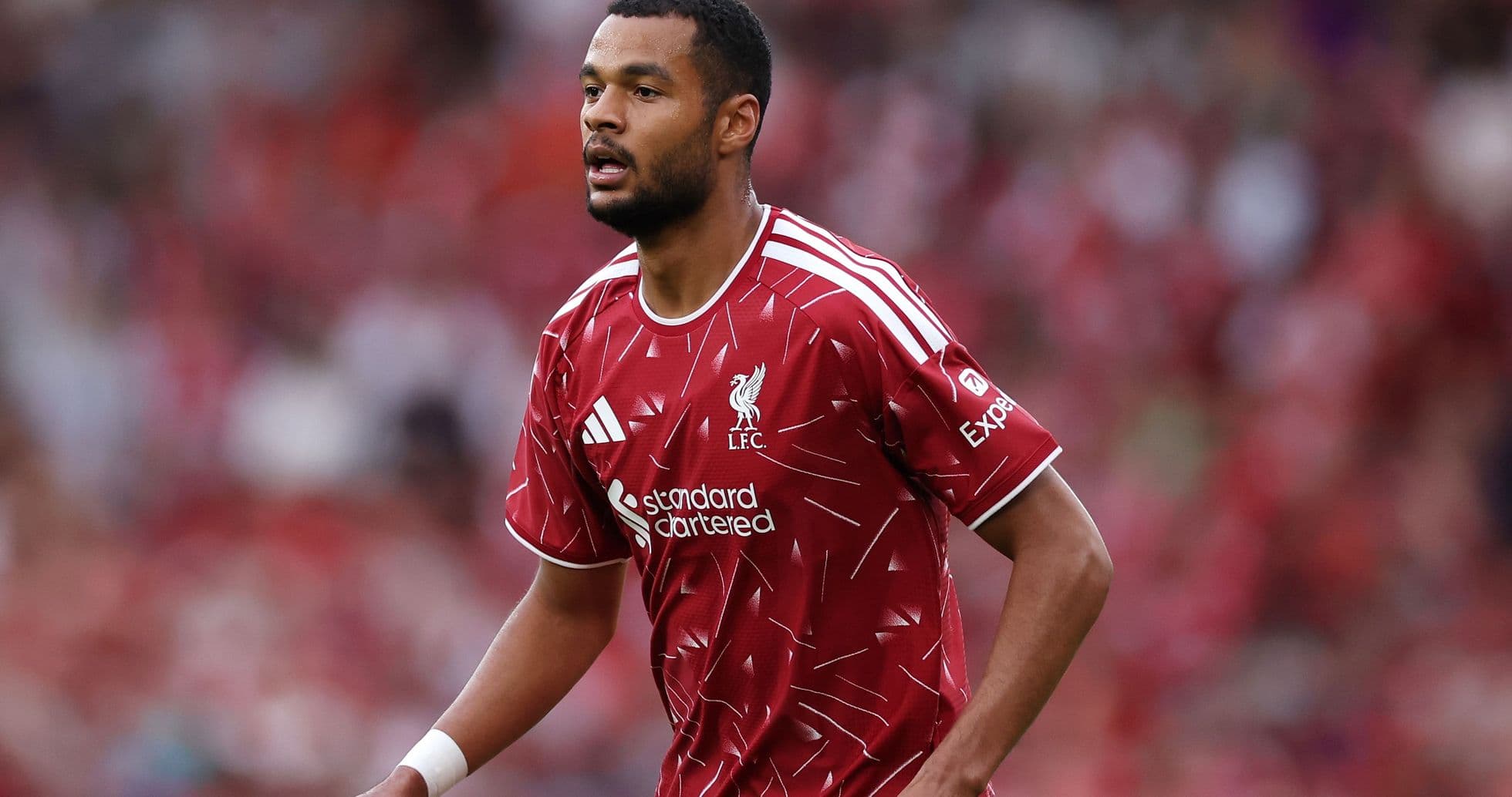 Iraola Uncertain on Gakpo's Future as Liverpool Near £120m Barcola Deal