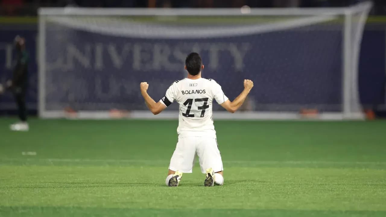 Player celebrating on the field during match Player celebrating on the field during match