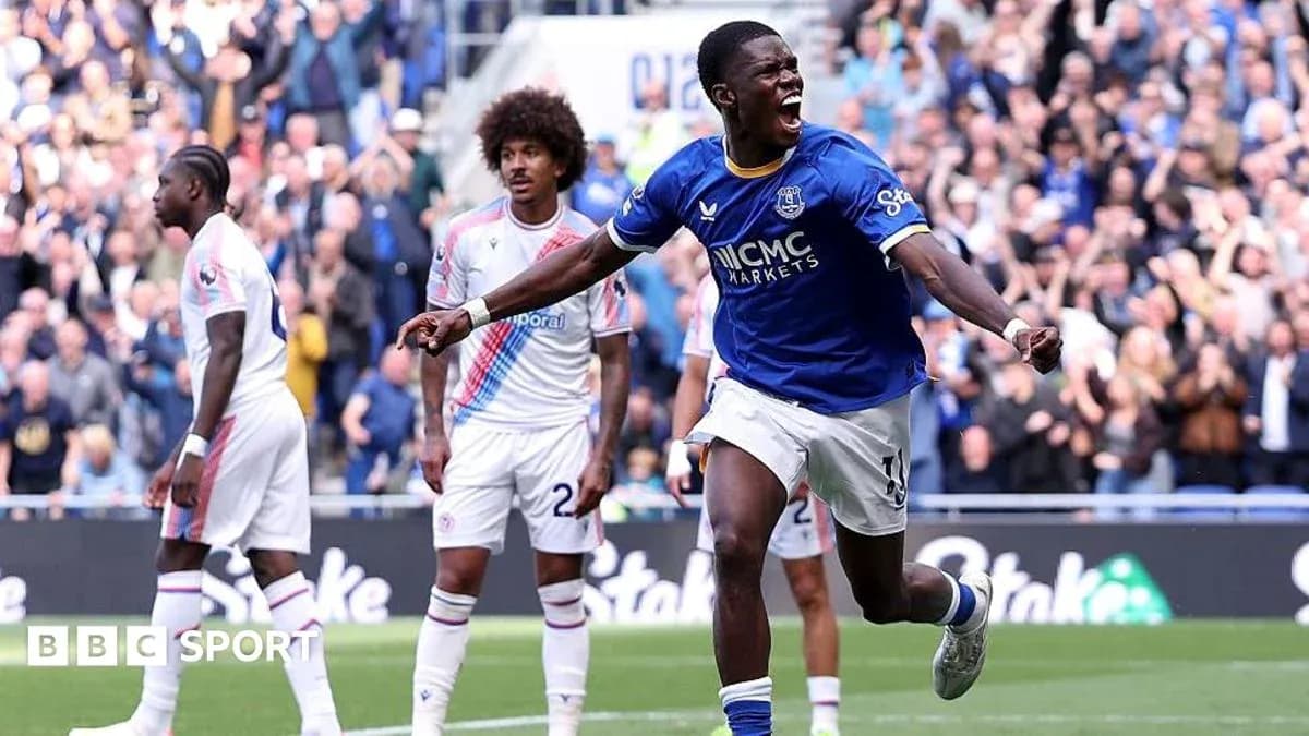 Everton player celebrating goal against Crystal Palace Everton player celebrating goal against Crystal Palace