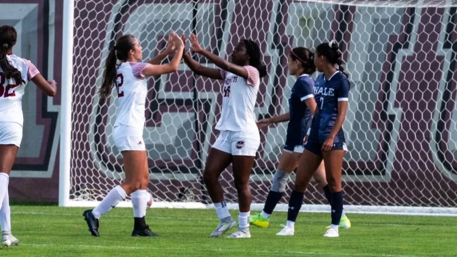 Players celebrating a goal on the soccer field Players celebrating a goal on the soccer field