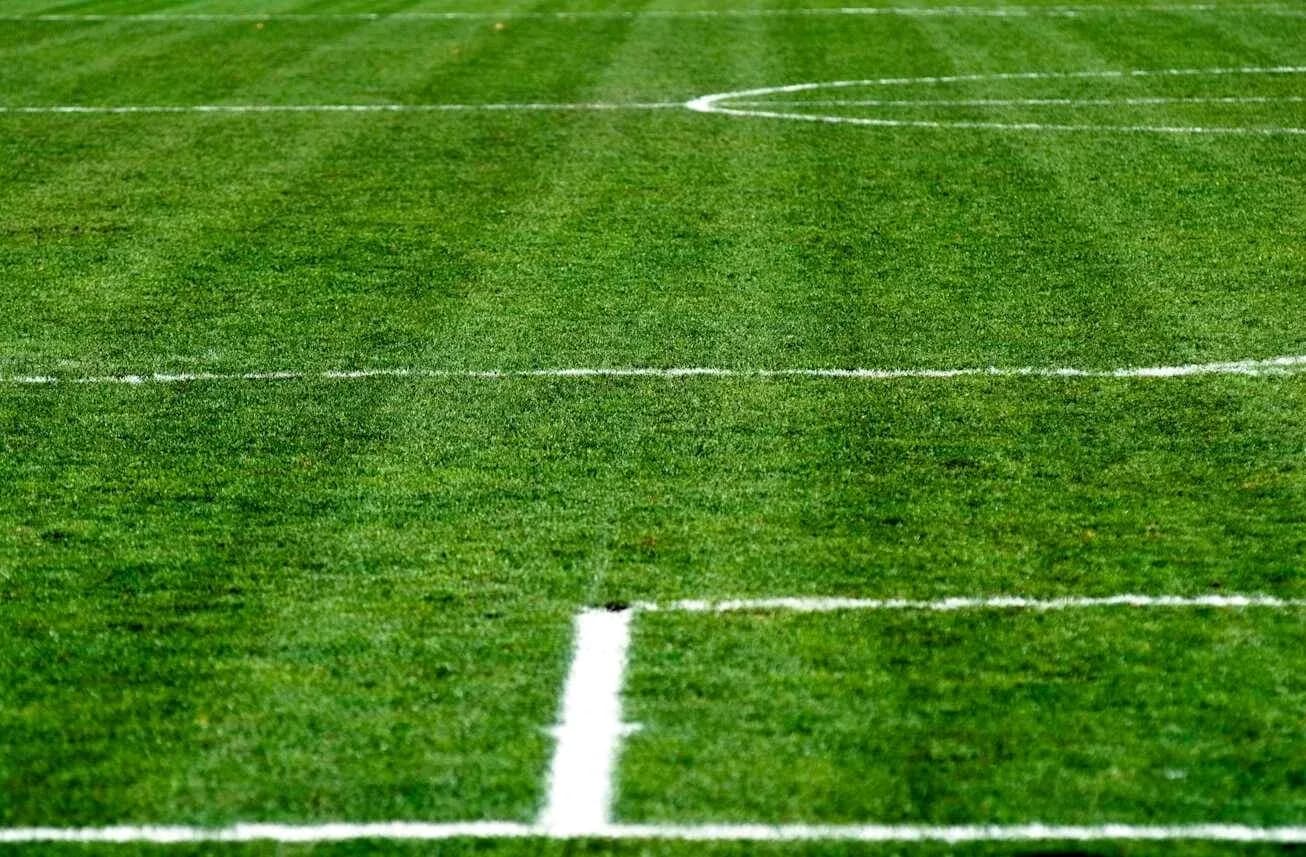 Close-up of a freshly marked soccer field Close-up of a freshly marked soccer field
