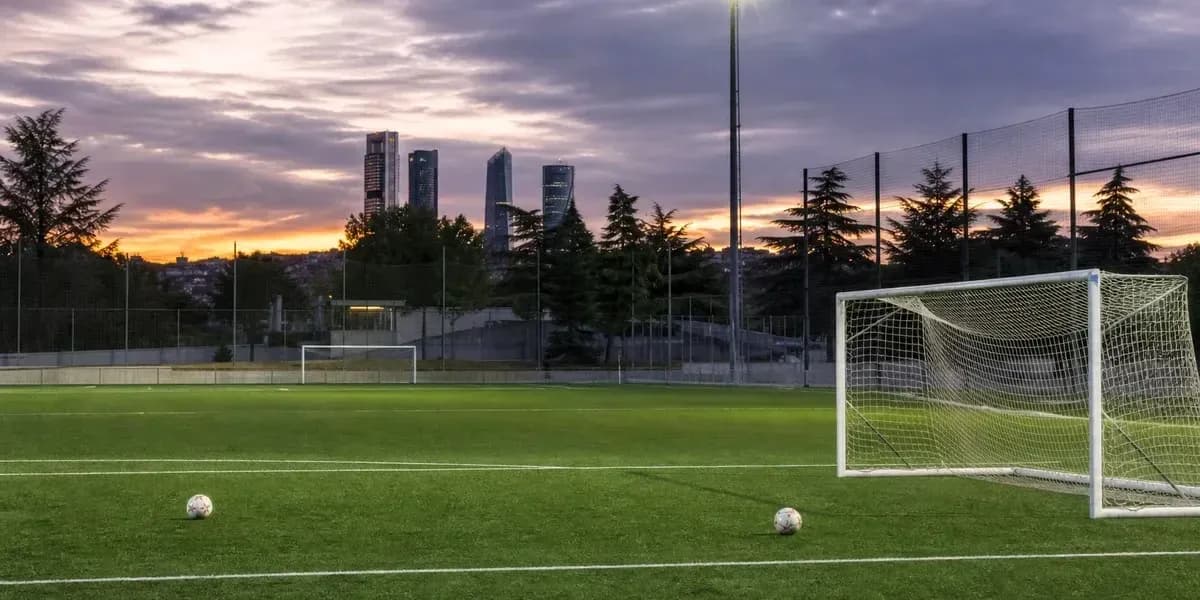 Football field with two balls and city skyline Football field with two balls and city skyline