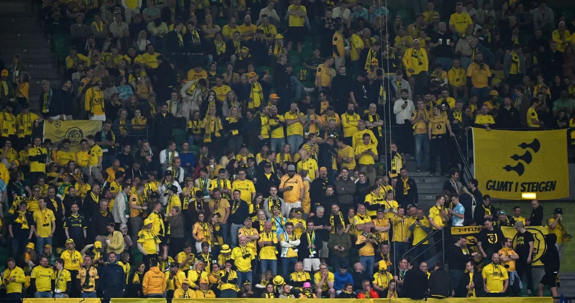 Bodo/Glimt fans cheering in yellow attire Bodo/Glimt fans cheering in yellow attire