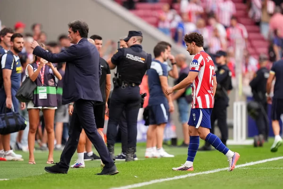 Manager gesturing as player walks off field Manager gesturing as player walks off field