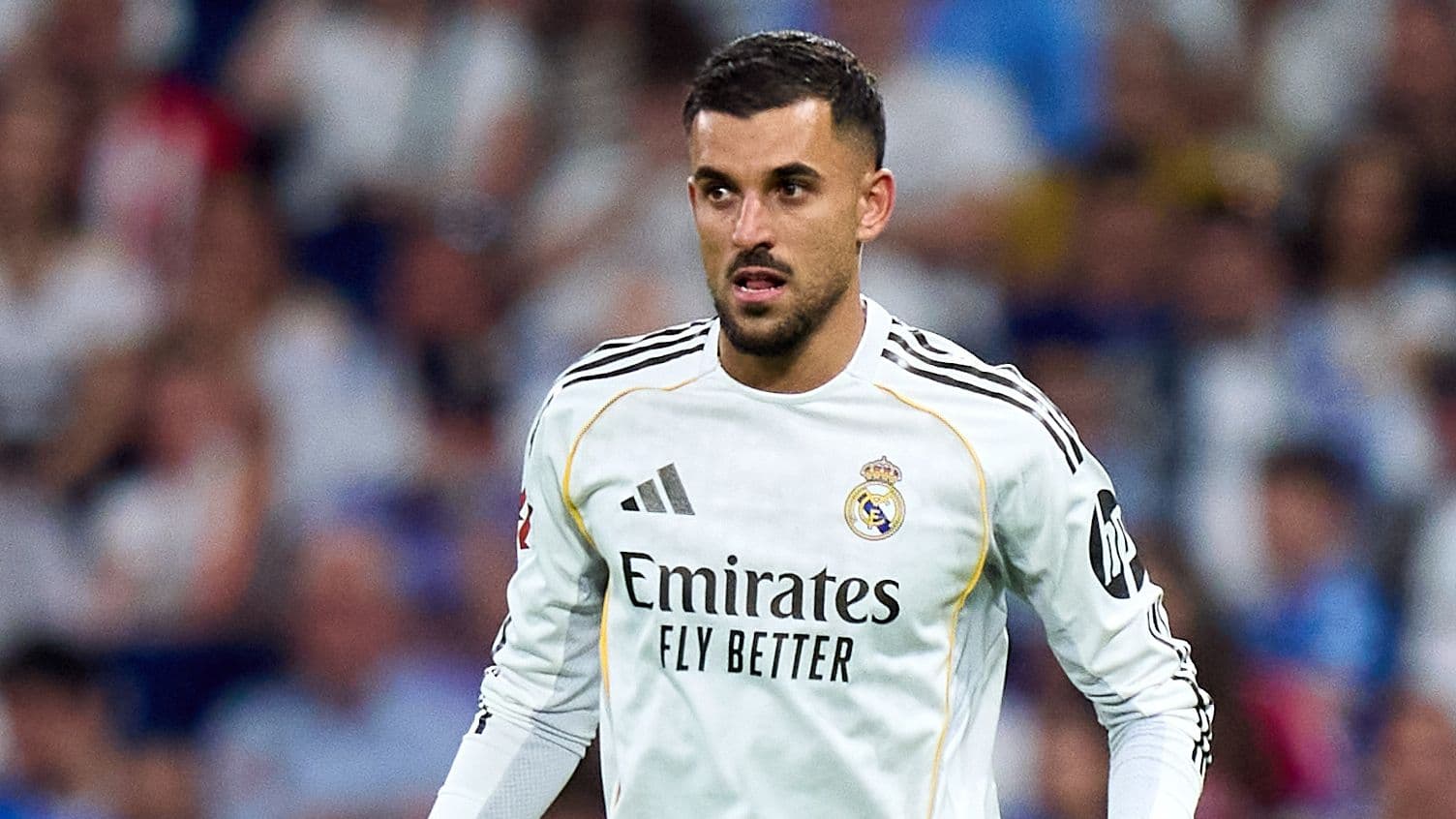 Napoli Advance Contract Offer for Former Real Madrid Midfielder Dani Ceballos Napoli Advance Contract Offer for Former Real Madrid Midfielder Dani Ceballos