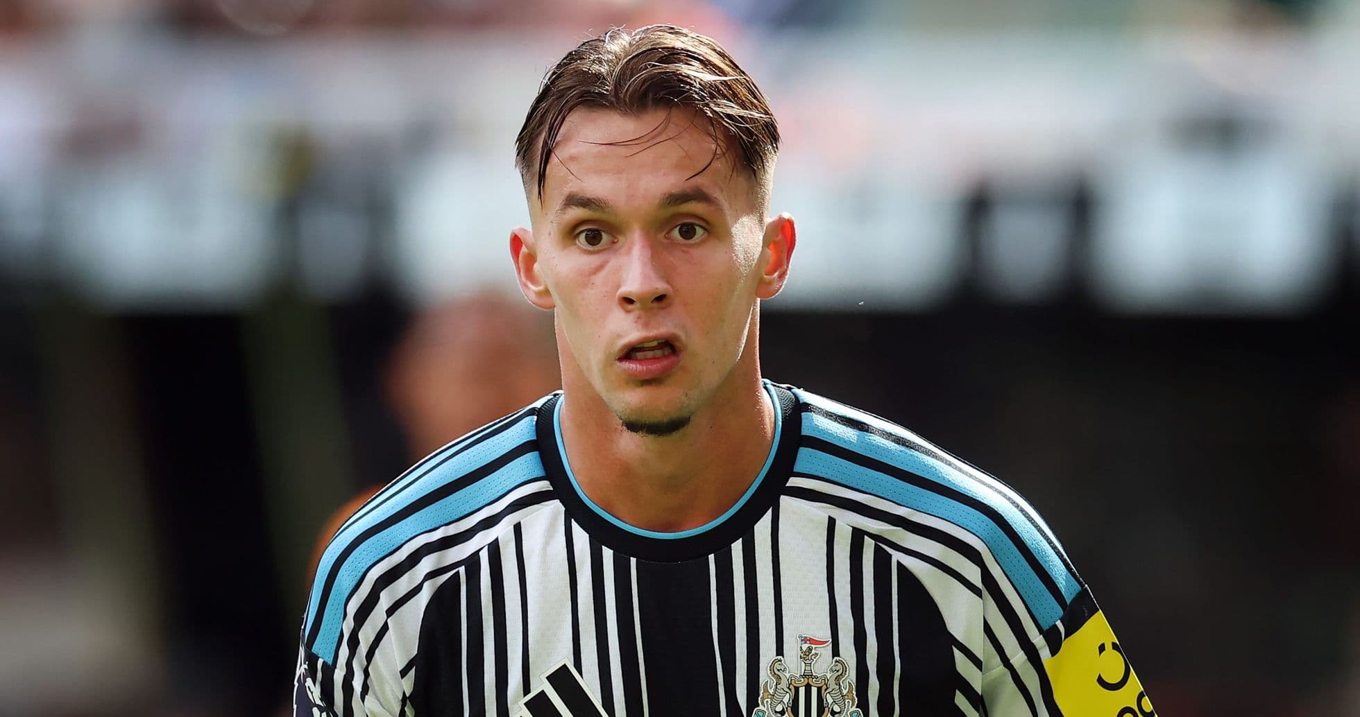 Bosnia Coach Sergej Barbarez Criticizes Newcastle Over Amar Dedic's Hamstring Injury Bosnia Coach Sergej Barbarez Criticizes Newcastle Over Amar Dedic's Hamstring Injury